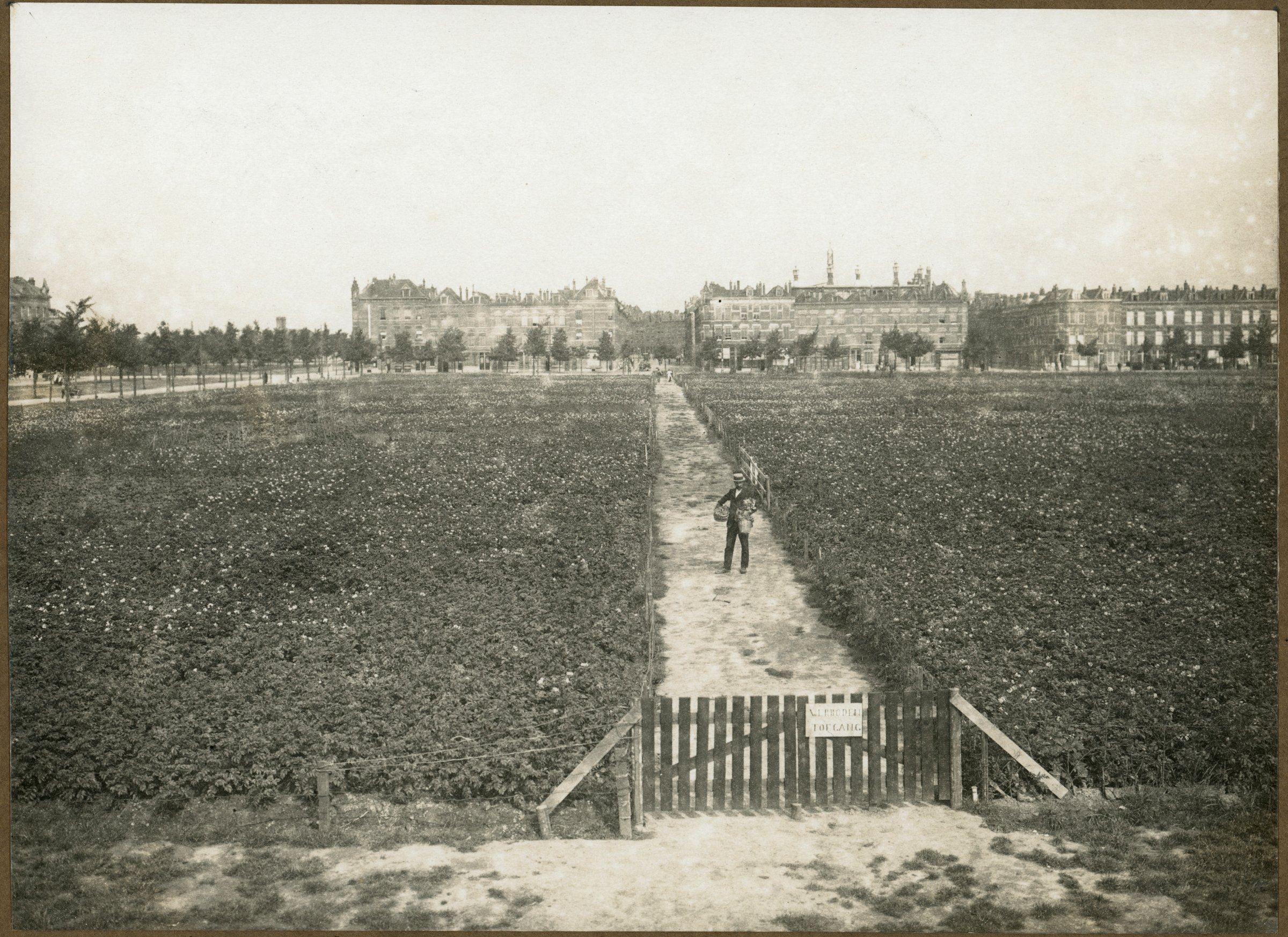 Afrikaanderplein Afrikaanderplein